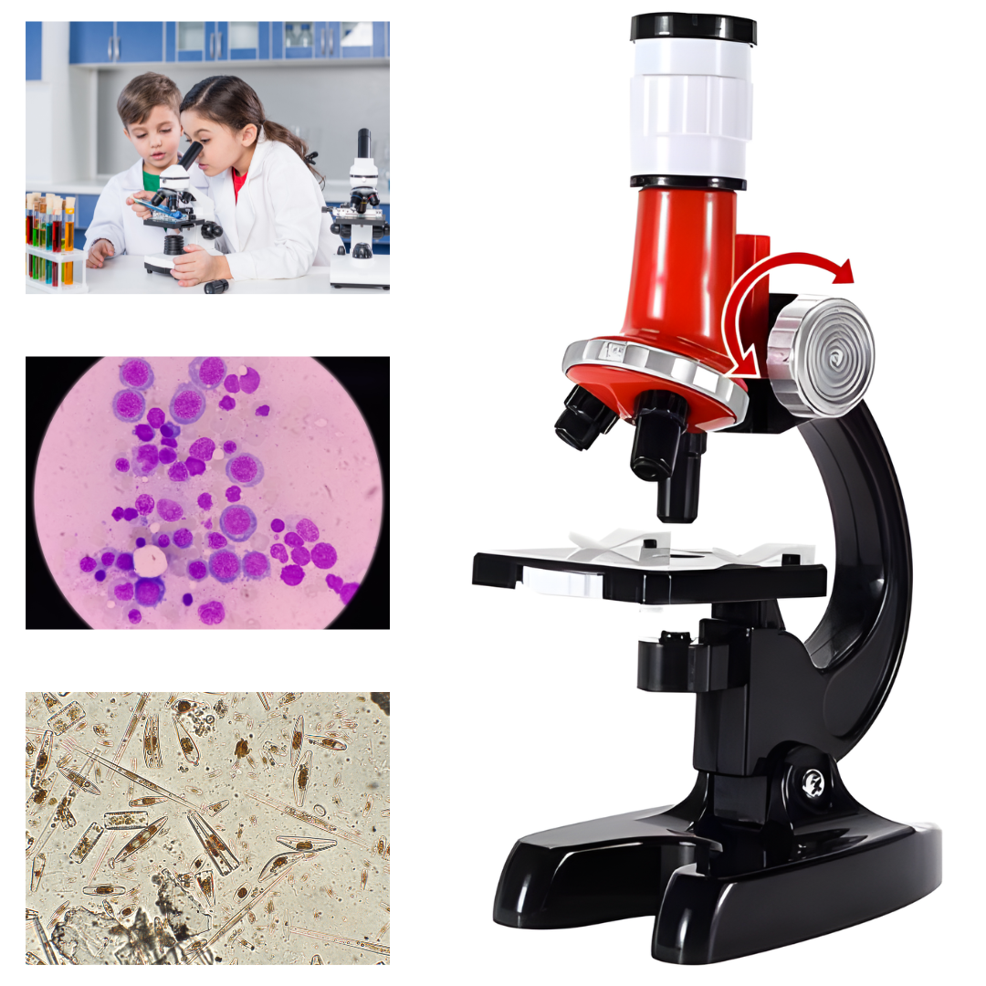 Microscópio Educacional Didático Óptico De 100 A 1200x Kit